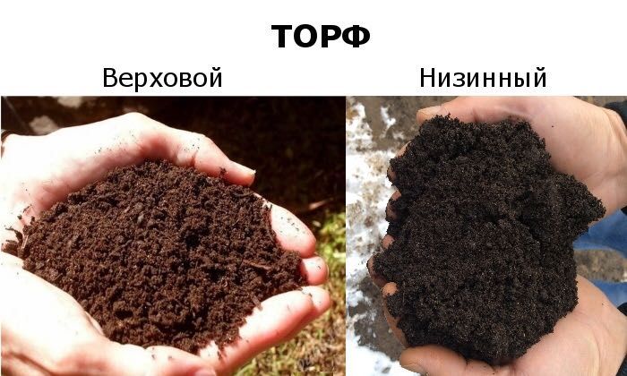 Торф в мішках нейтральний верховий та низинний