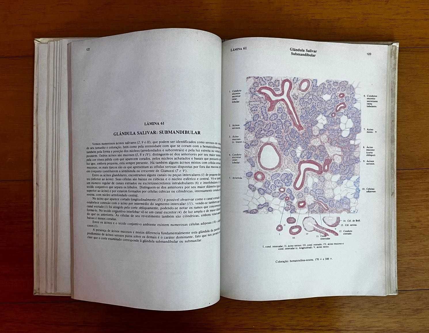 Atlas De Histologia 7ª edição