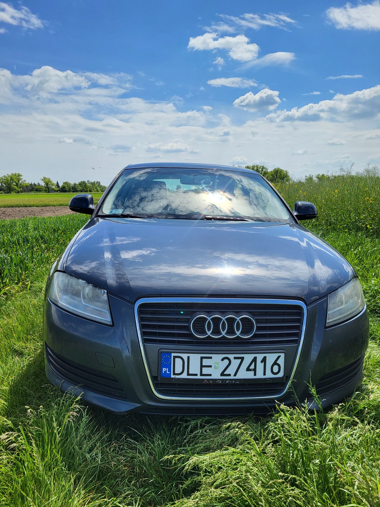 Audi A3 8p 1.9 TDI