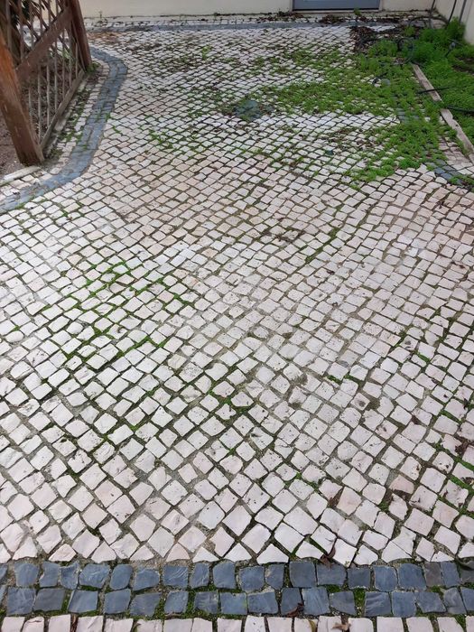 Pedra da calçada branca e negra