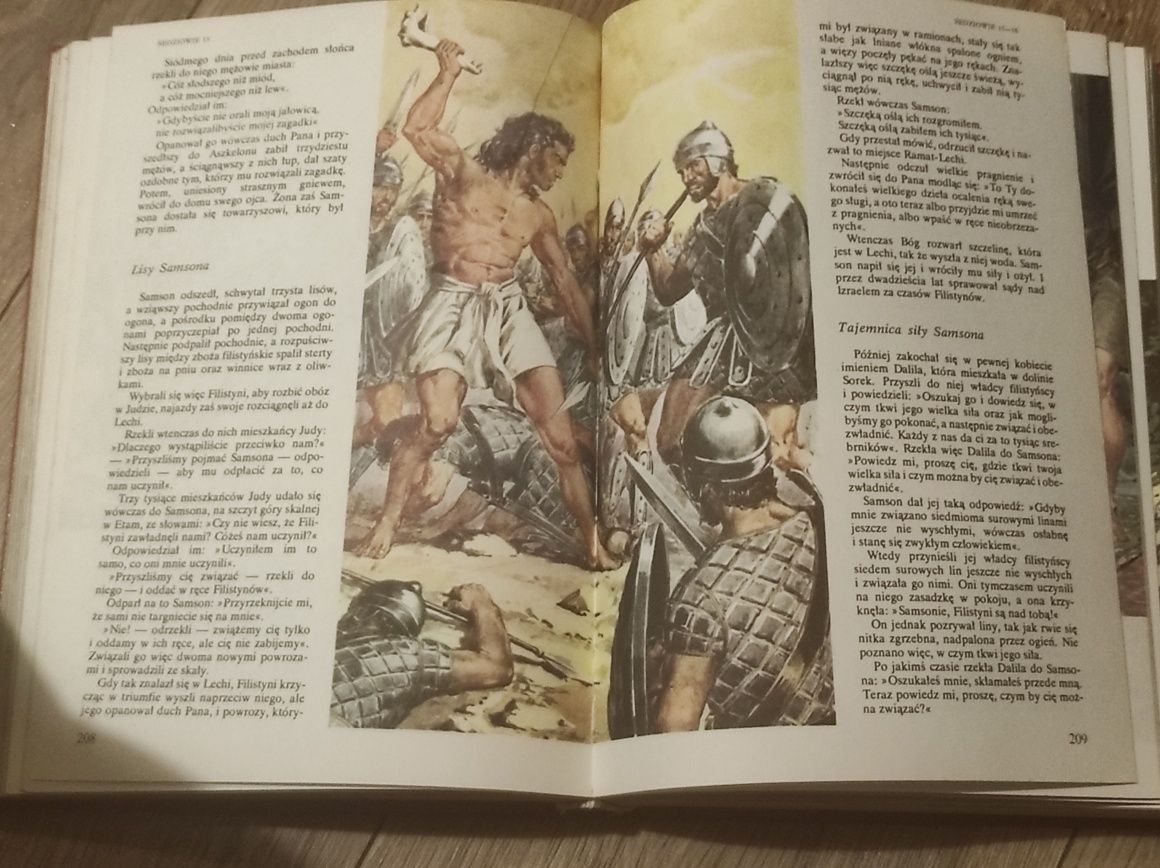 Biblia ilustrowana dla młodych 1991