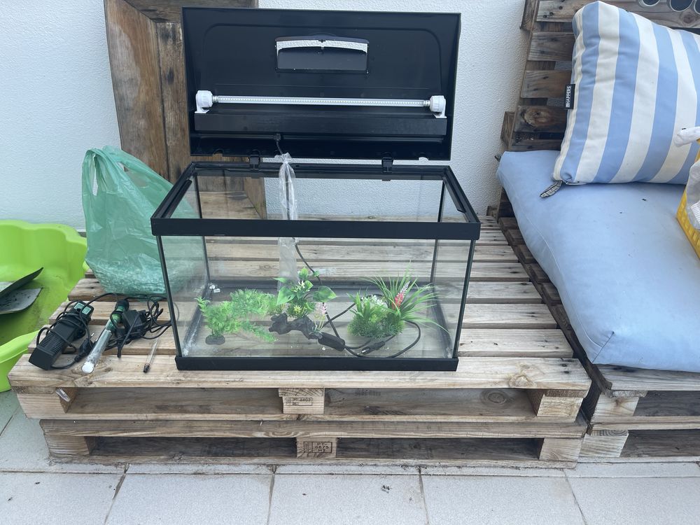 Aquario para peixes com luz led