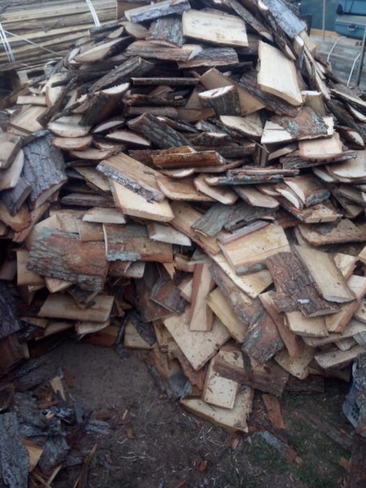 Pocięte zrzyny dębowe