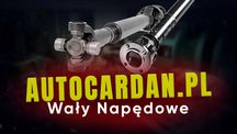 Wał napędowy Renault Premium, Midlum Magnum Maxity DAF Regeneracja