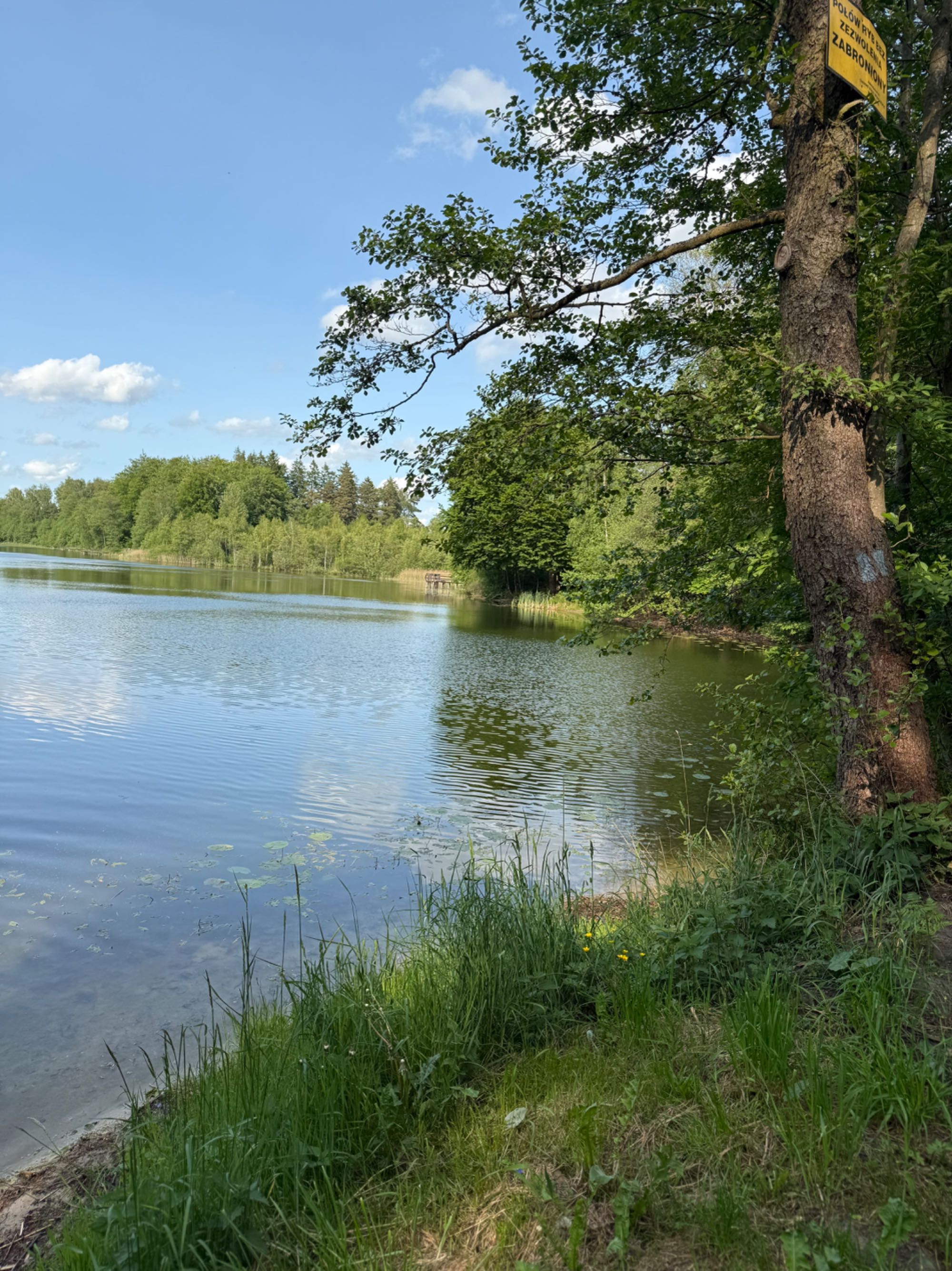 Całoroczny domek nad jeziorem las Kaszuby Balii Jacuzzi