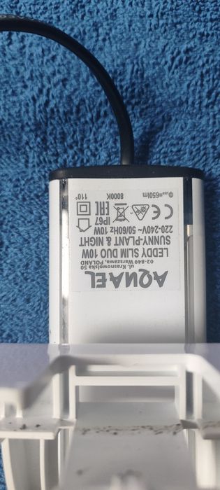 Leddy Duo sunny,plant,night