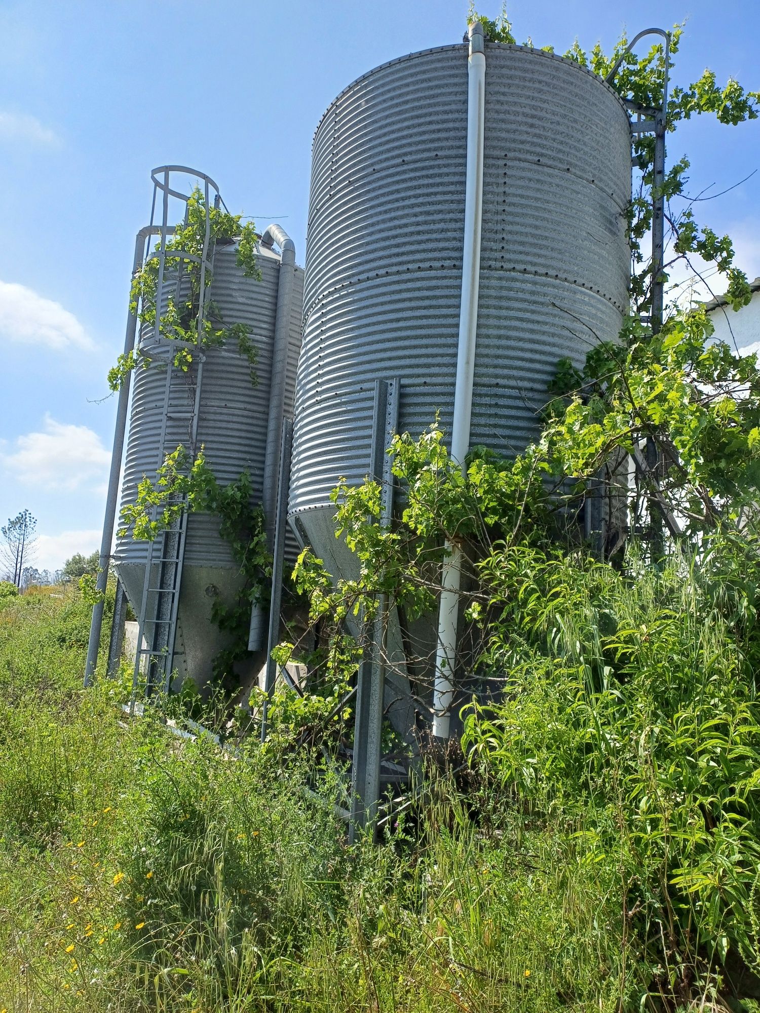 Dois silos usados para cereais