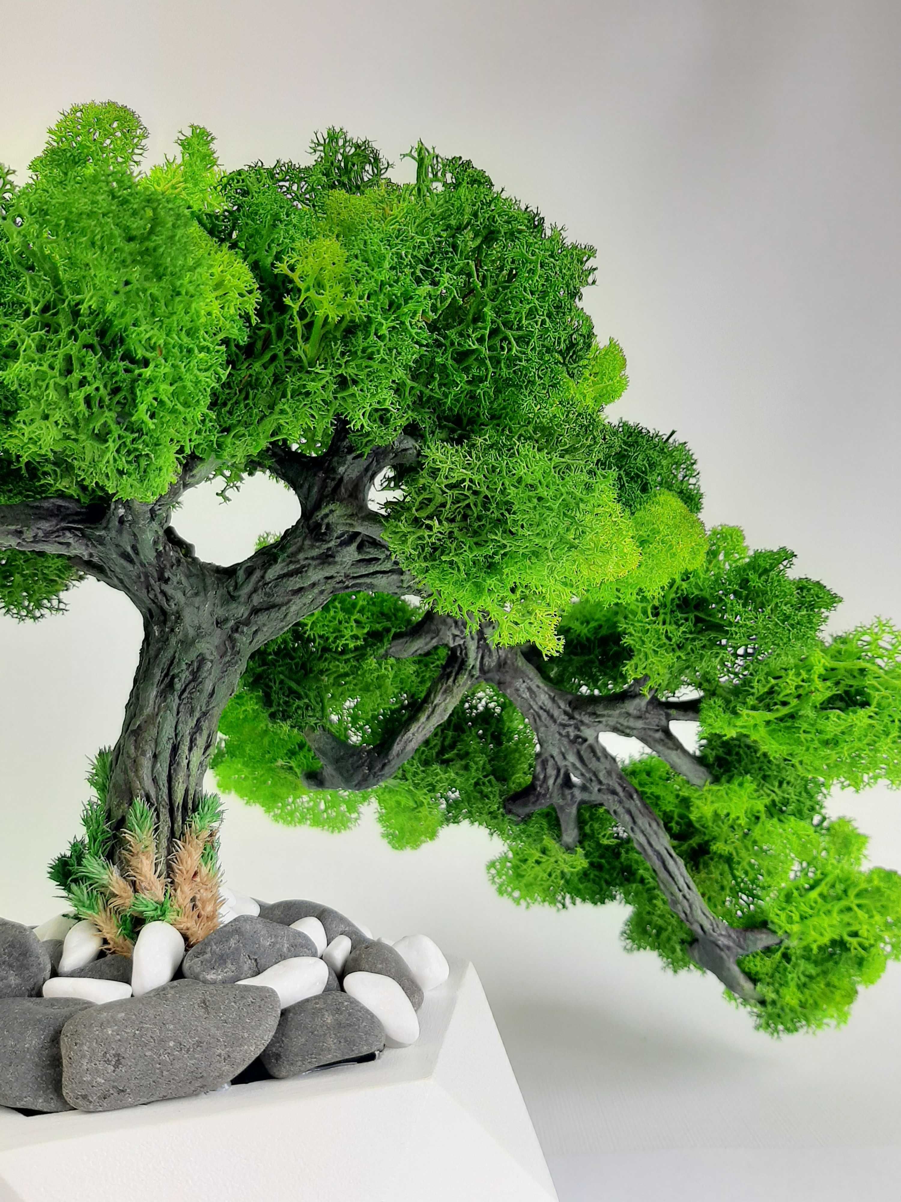 Штучне дерево Бонсай зі стабілізованого моху
