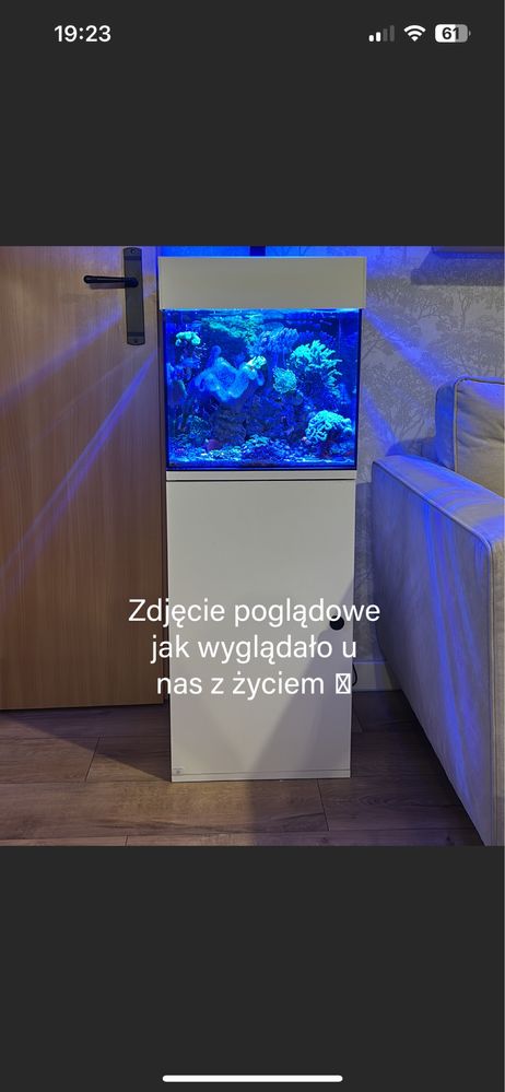 Akwarium Maxspect Dice AIO nano 57l z panelem flitrującym + szafka