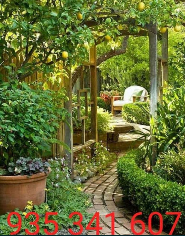Serviços de jardinagem em Lisboa