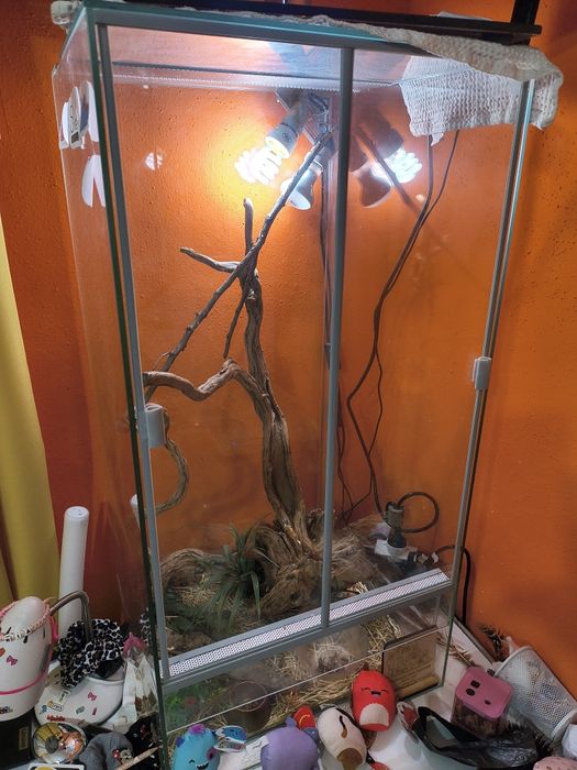 Terrarium dla Kameleonów i nie tylko