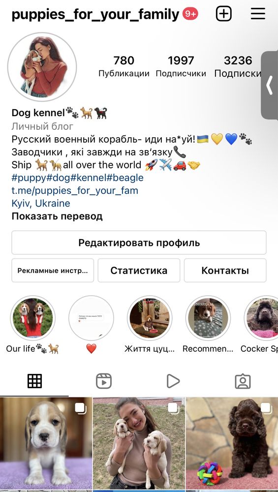 Розплідник.Цуценята Бігль. Повний пакет документів.