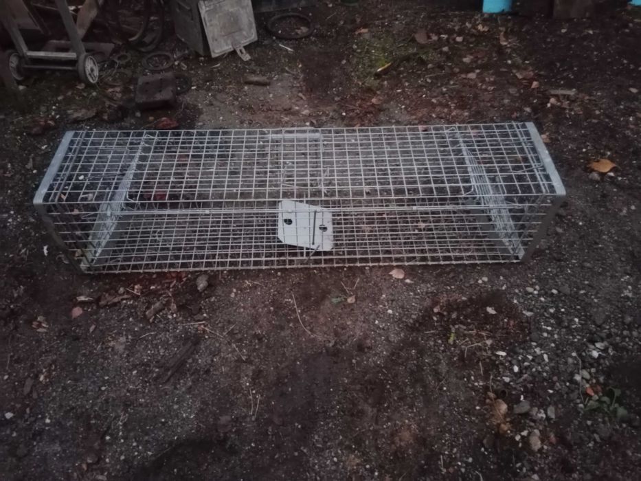 Pułapka na lisy kuny duża