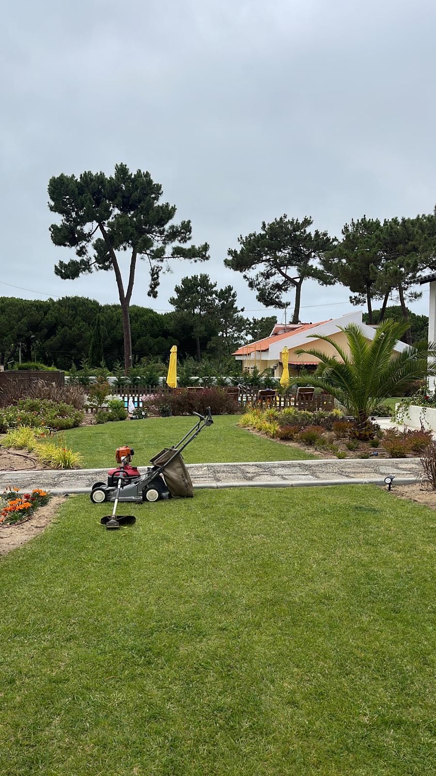 Jardinagem e Limpeza de Terrenos – Agosto DISPONÍVEL