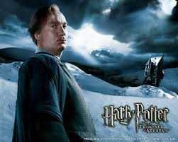 Harry Potter różdżka - właściciel: Remus Lupin