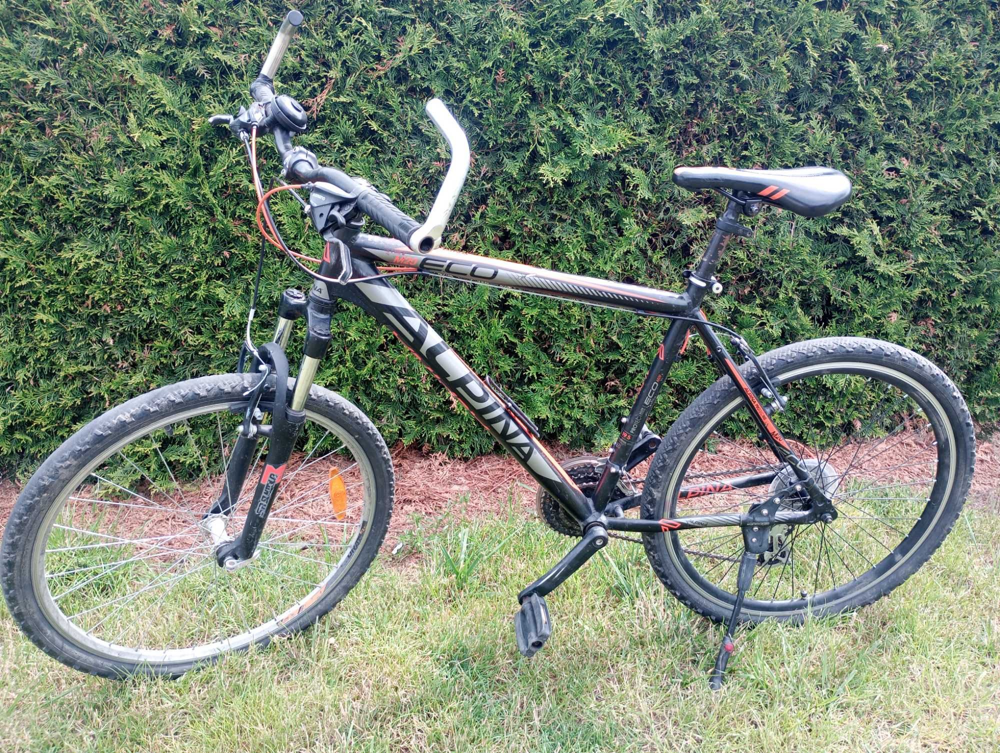 Rower Alpina Eco m 20
