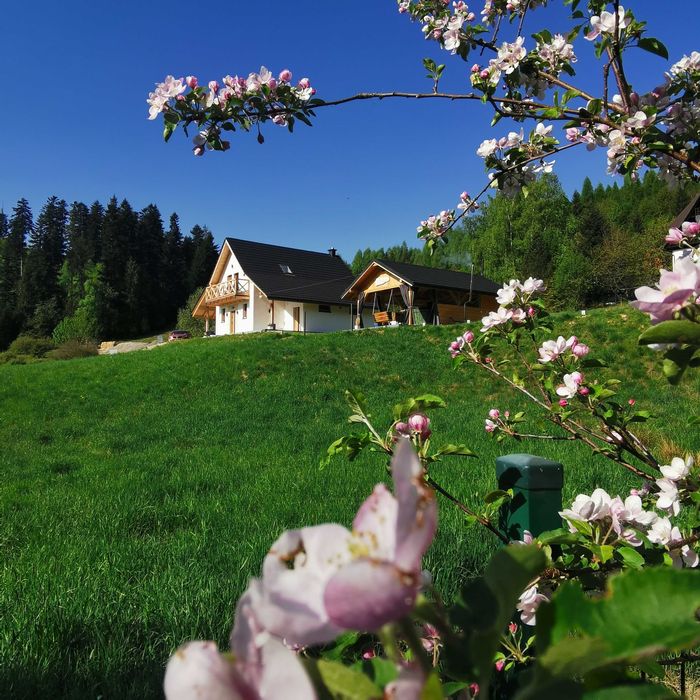 Domek w górach z balią jacuzzi i sauną