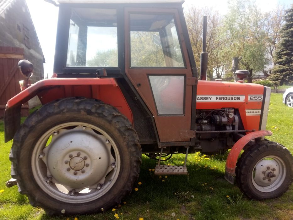 URSUS MF 255 rocznik 1988