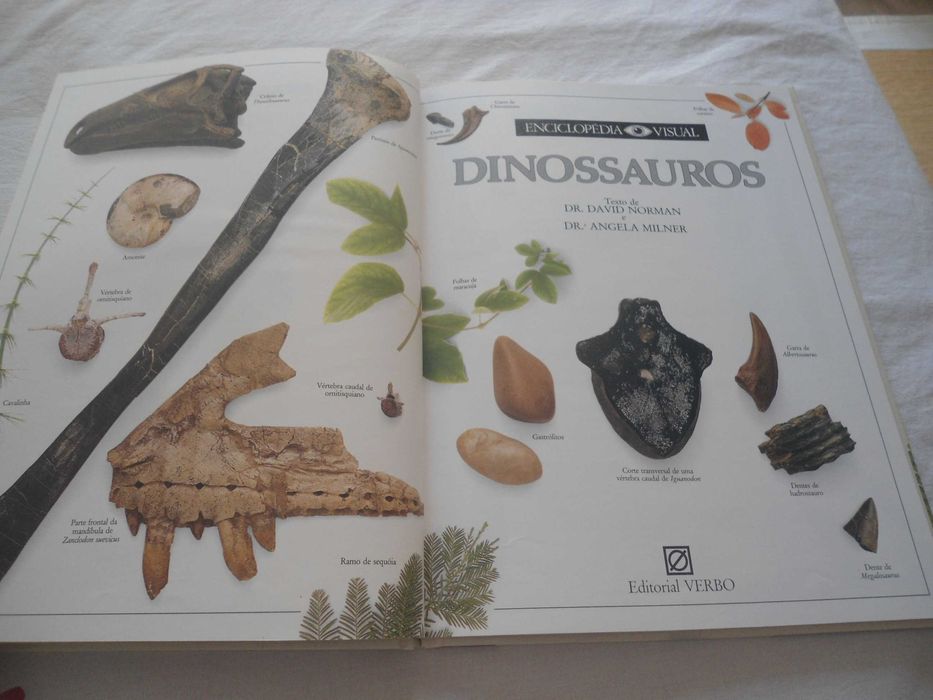 Enciclopédia Virtual Verbo nº 9 -Os Dinossauros