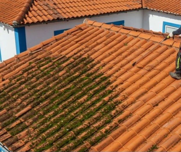 Telhados terraços caleiras muros etc...