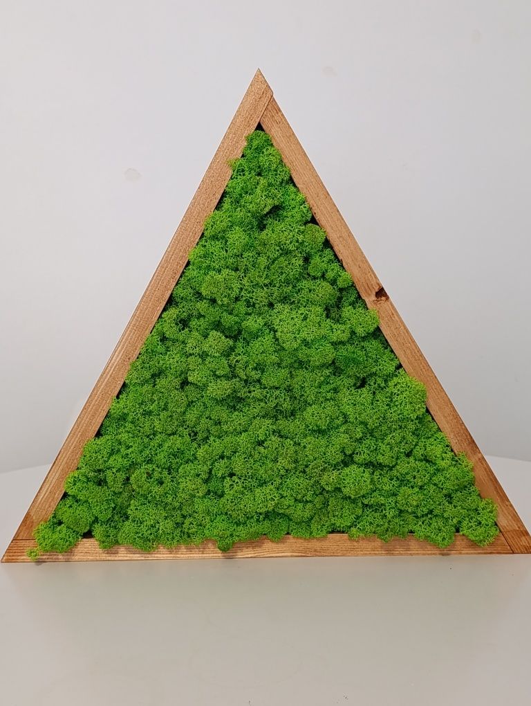 Obrazy z mchu. Ramki trójkątne. Ramię 47 i 27 cm