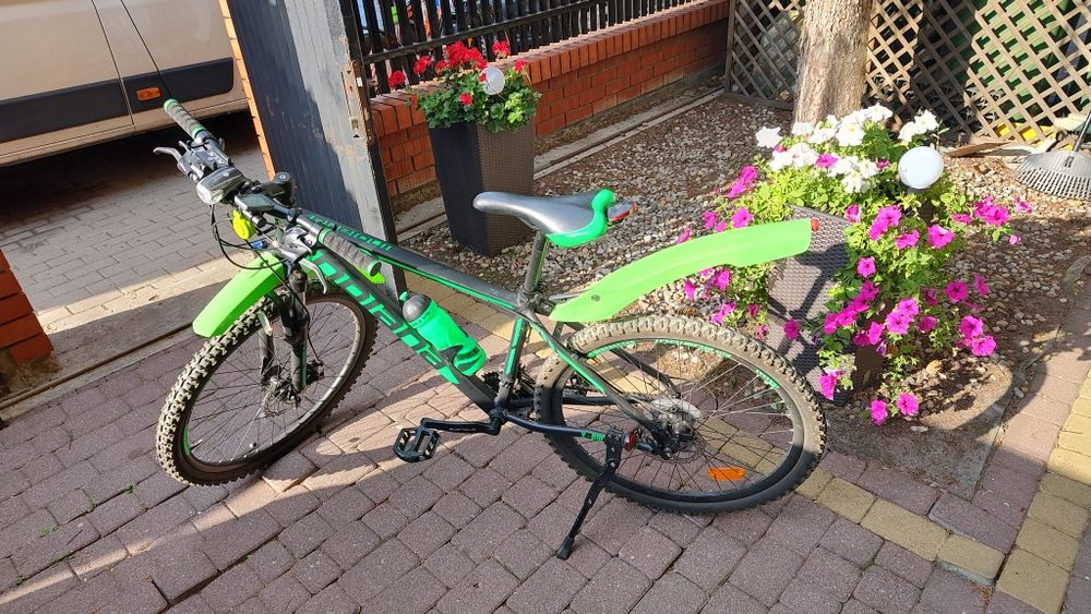 Rower MTB indiana zielony górski