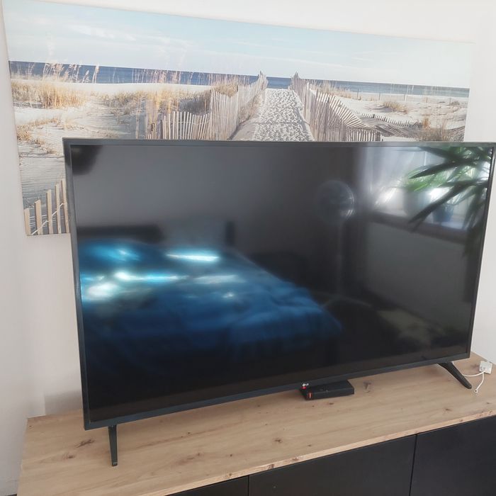 Telewizor LG 55 cali z listopada 2023