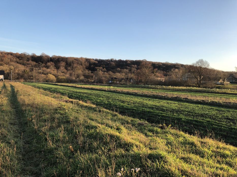 Земельна ділянка