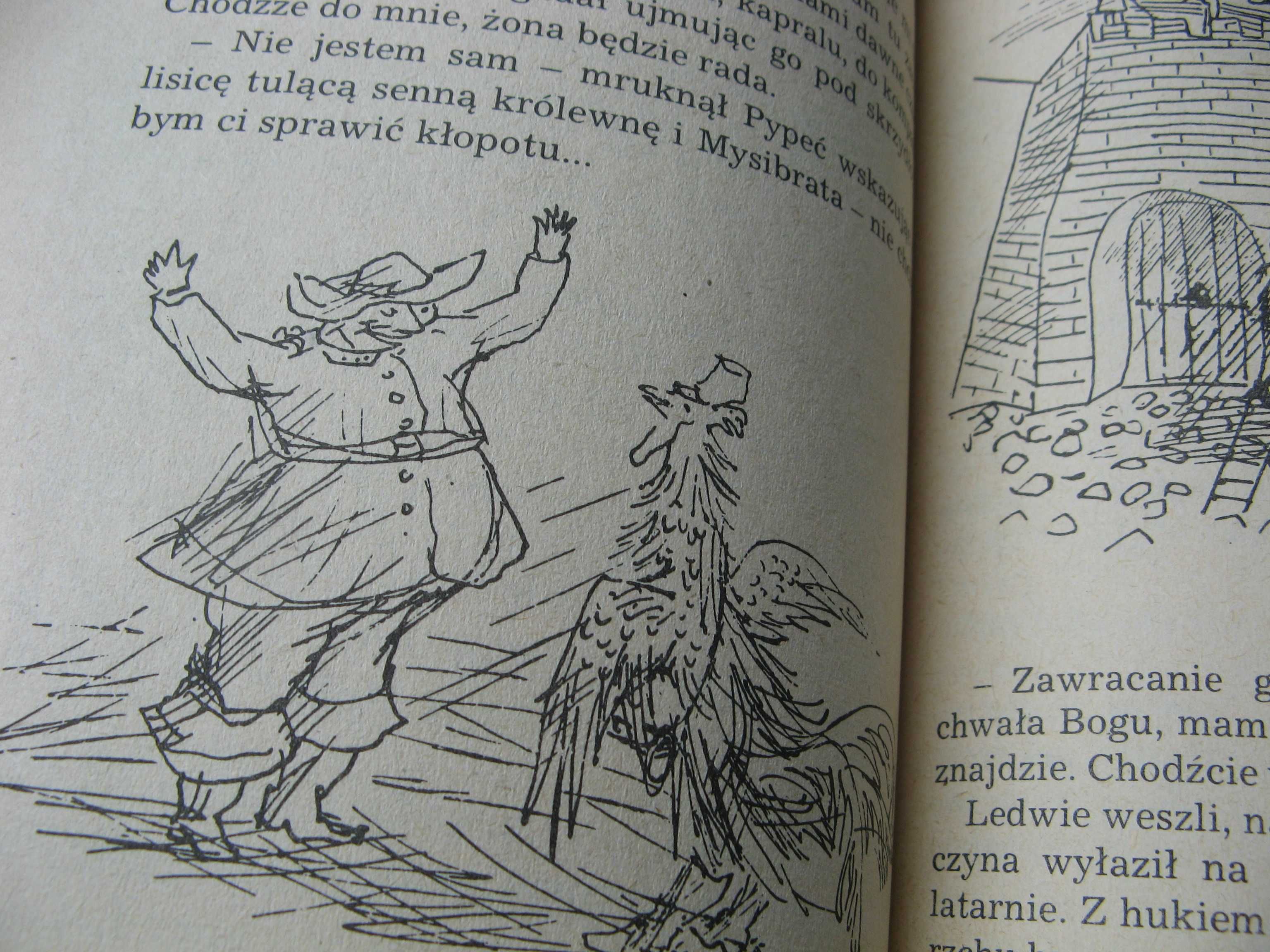 Porwanie w Tiutiurlistanie W.ŻUKROWSKI (książka + płyta DVD) bajka PRL