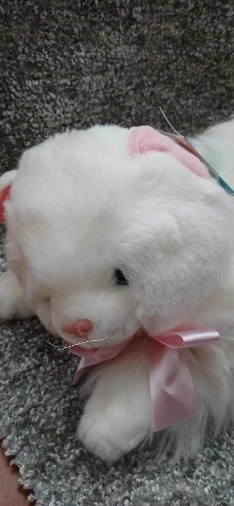 Gato de peluche  com etiqueta