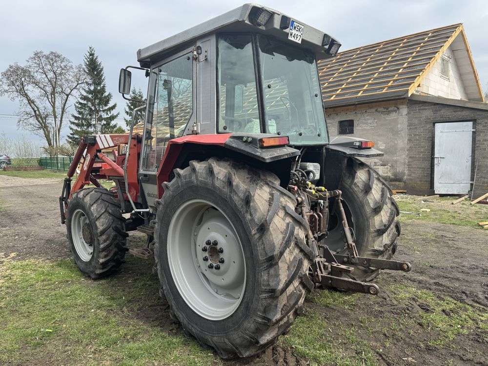 Massey fergusson mf 3050 z ładowaczem tur