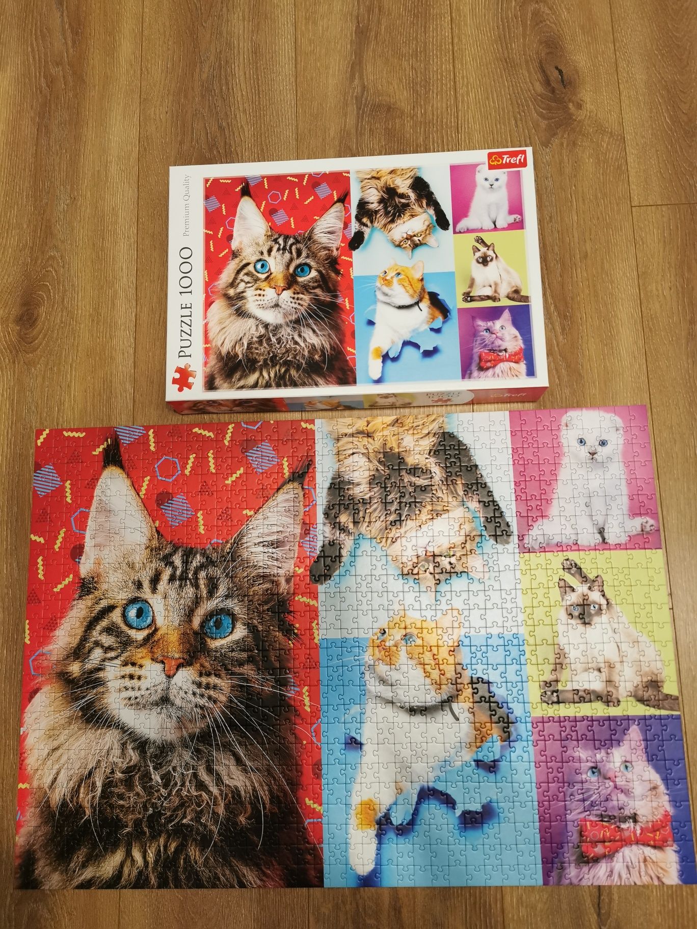 Puzzle Trefl 1000 elementów kot koty Premium Quality