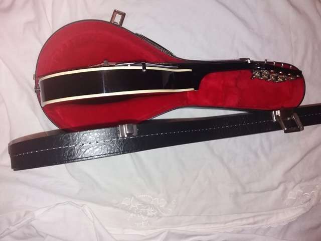 Bandolim de madeira e estojo