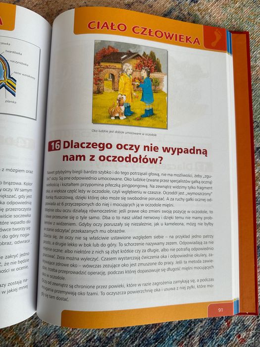 Dlaczego... odpowiedzi na pozornie łatwe pytania