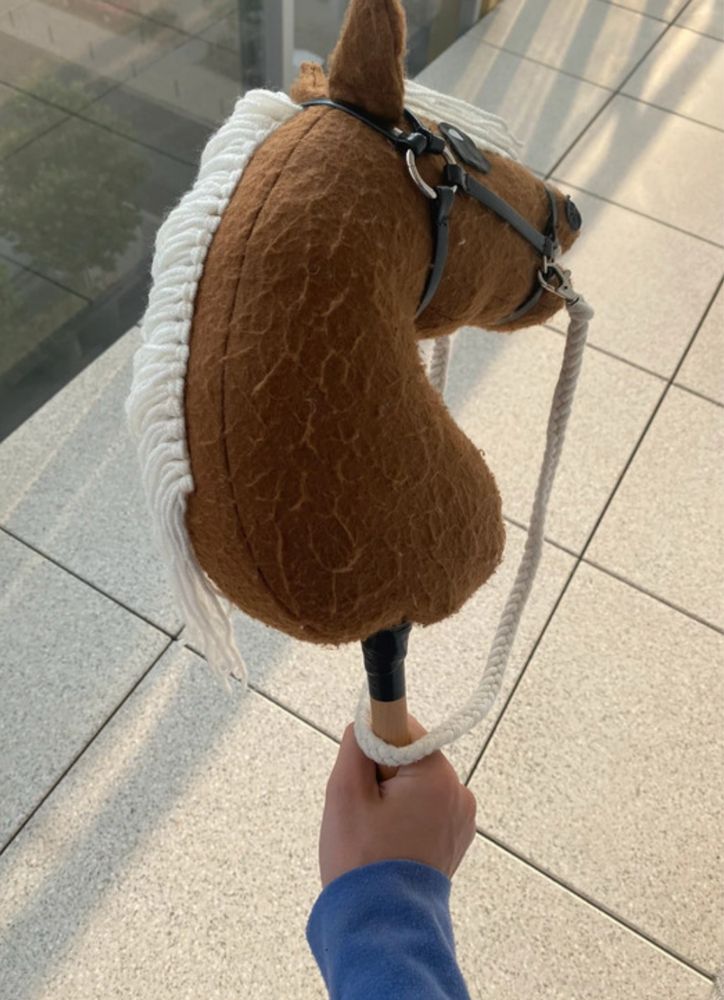 hobby horse konik