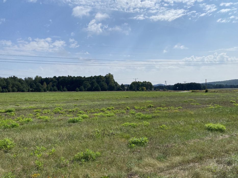 Działka budowlana Małogoszcz nad zalewem w lesie osiedle