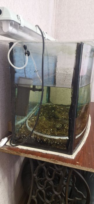 Акваріум "Природа" 190 літрів із панорамним вигнутим склом. Торг!