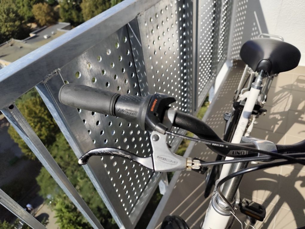 Rower Raleigh Strike miejski