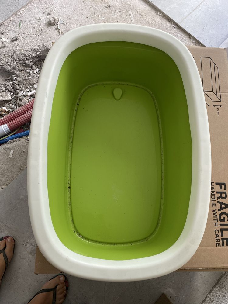 Caixa de areia para gatos