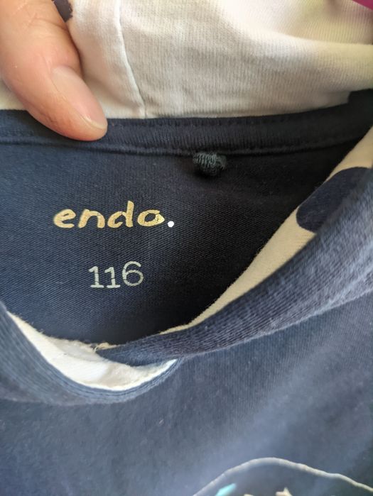 Sukienka 116 bawełna, Koty Next