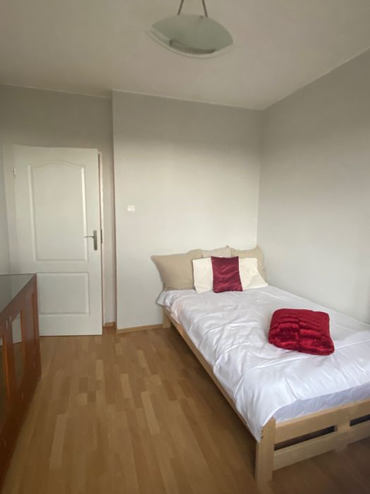 Pokój w centrum/ central room for rent