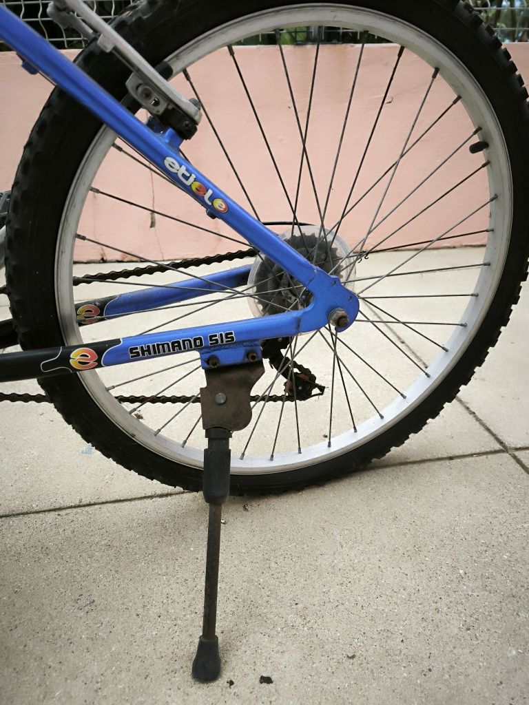 Bicicleta Etiel roda 24