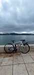 Trek Domane Al 3