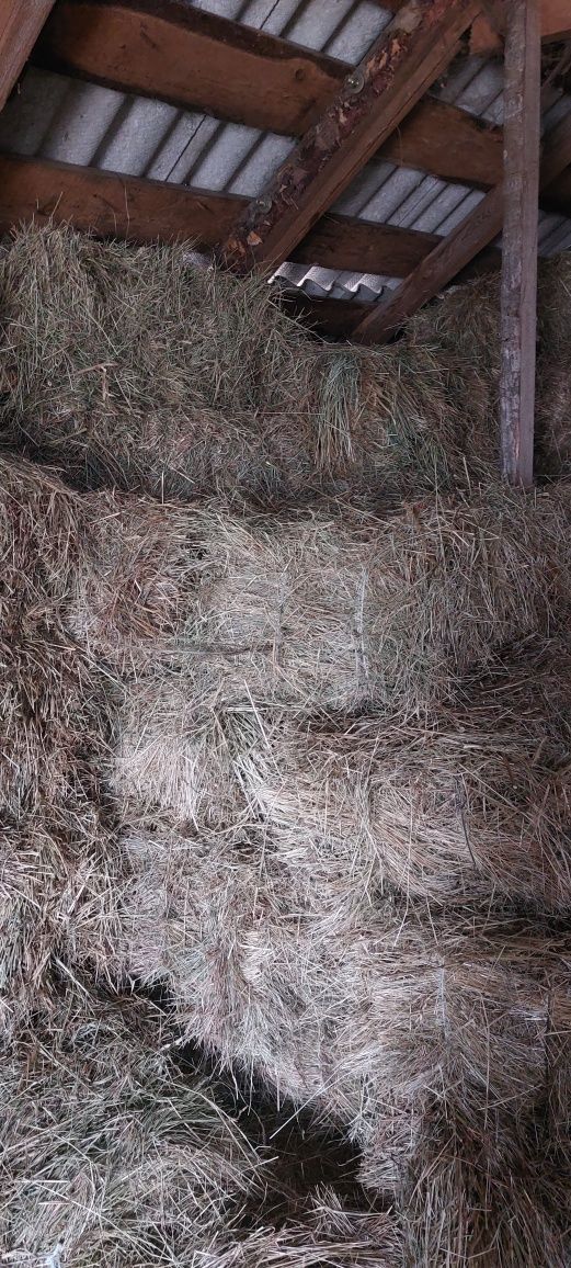 Продам хорошое сено