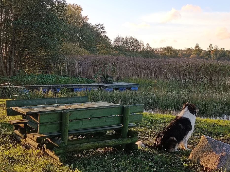 Domek nad jeziorem, SPA na wyłączność, konie, Kaszuby