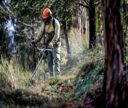 Serviços de Jardinagem e limpezas  de matas