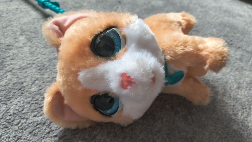 Kot na smyczy, maskotka interaktywna Fur Real, Hasbro