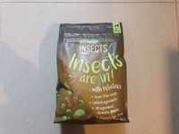 NOWA karma dla psa Greenwoods Insects hipoalergiczna insekty 1,5kg