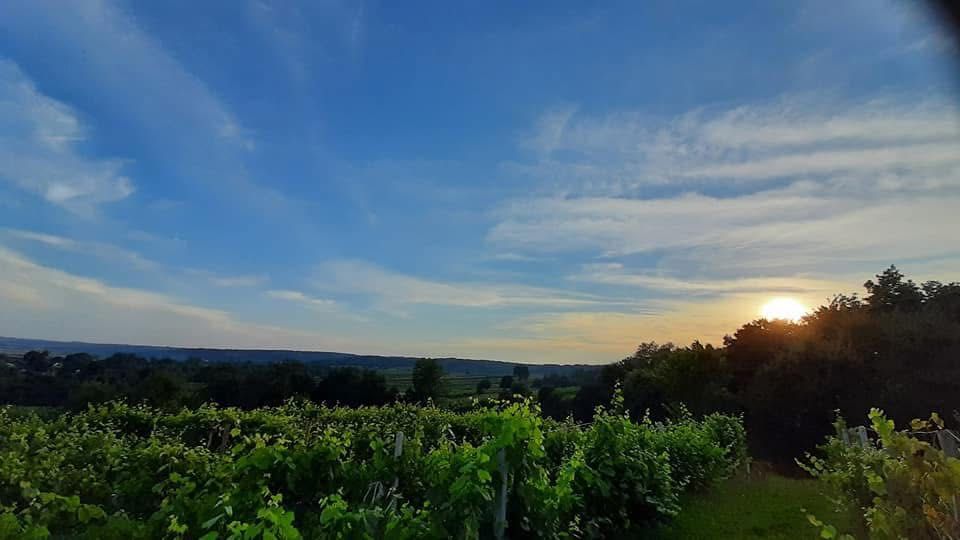 Działka rolno-leśna na malowniczym Roztoczu