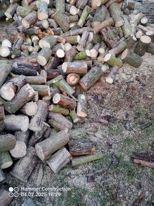 Drewno kominkowe opałowe sosna gałęziówka drzewo liściaste brzoza dąb